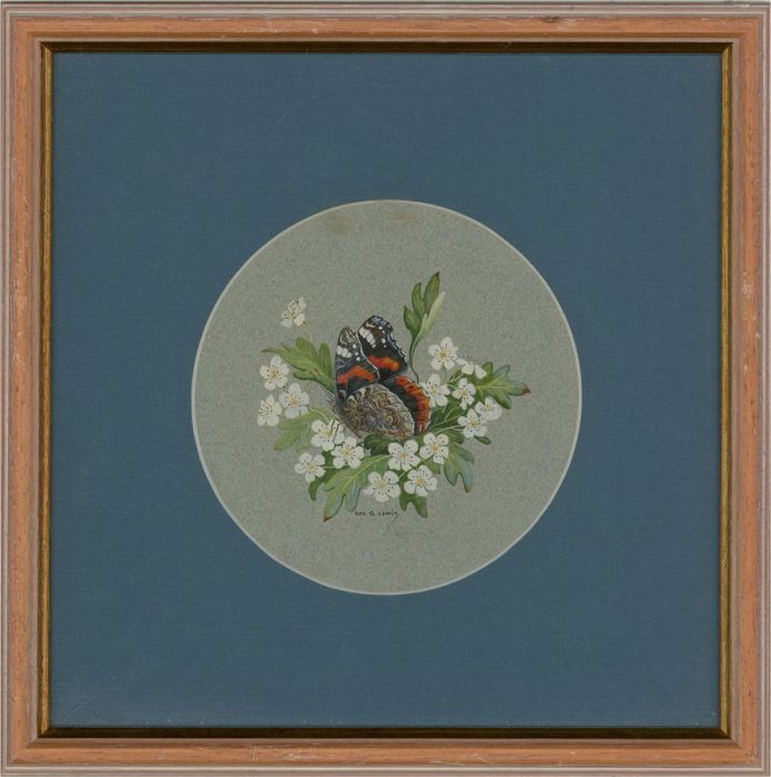 Ray G. Lewis - 20th Century Gouache, Red Admiral on Hawthorn