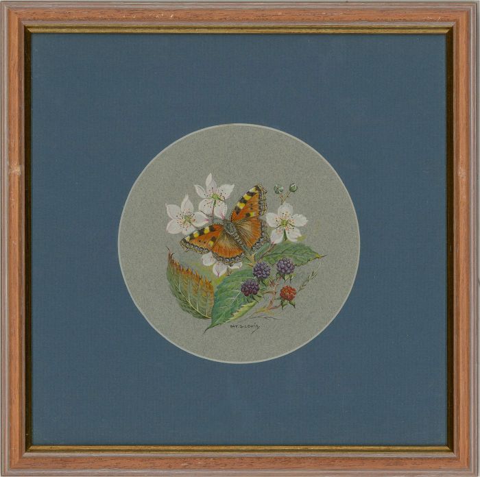 Ray G. Lewis - 20th Century Gouache, Small Tortoiseshell on Bramble
