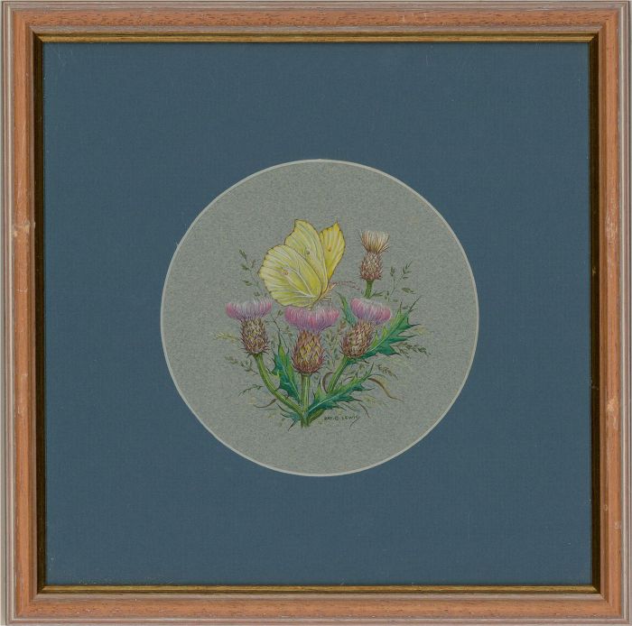 Ray G. Lewis - 20th Century Gouache, Comma on Thistle