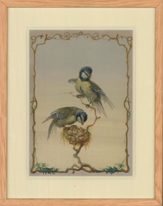 20th Century Gouache - The Blue Tit Nest