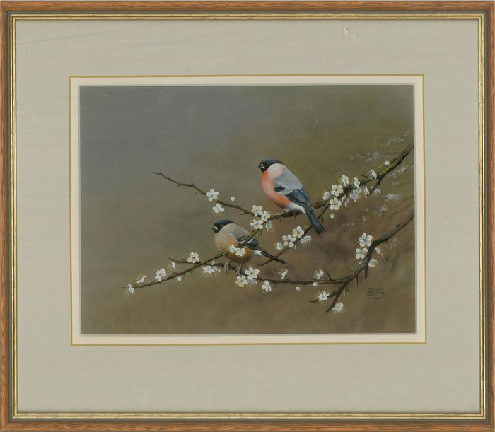 Henry Bruce  - 1989 Watercolour, Bullfinches on Blackthorn