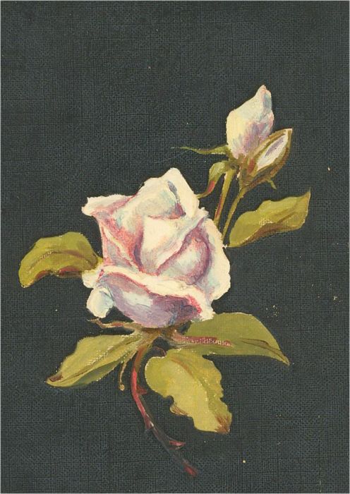 Early 20th Century Oil - Floral Study