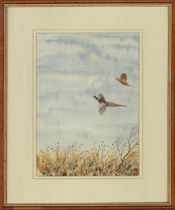 Simon Arkwright - 1991 Watercolour, Flying Pheasants