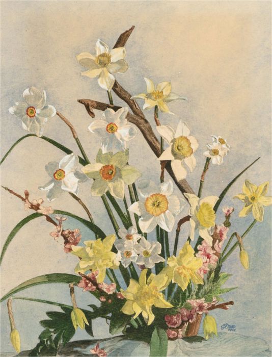 E.J. Elliot - Signed 1978 Watercolour, Daffodils