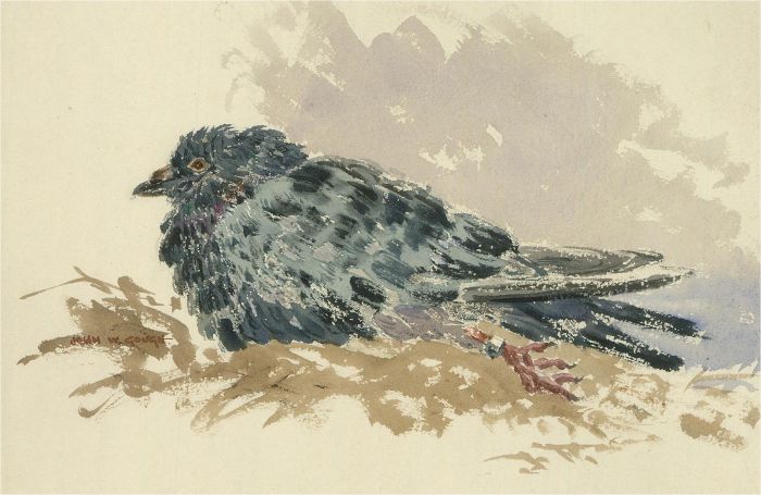 John W. Gough - Signed Mid 20th Century Watercolour, The Little Bird