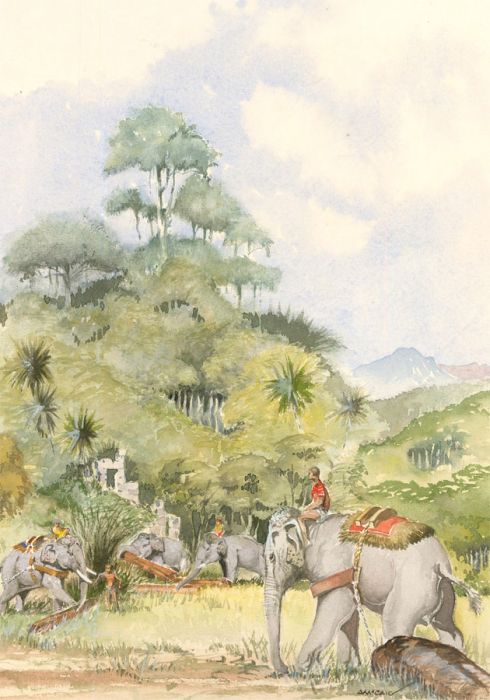 S M Caig - 20th Century Watercolour, Indian Elephants in the Rainforest