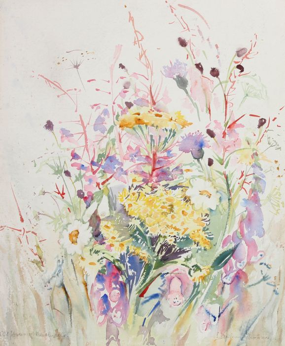 Daphne Stevenson  - 20th Century Watercolour, Wildflowers of Wensleydale