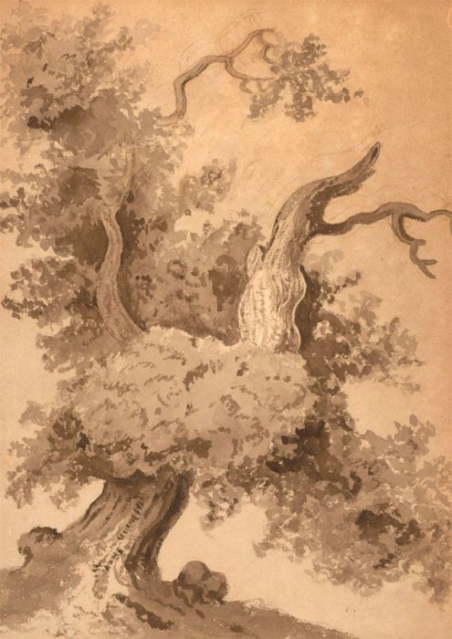 A Pair of Early 19th Century Watercolours - Sepia Trees