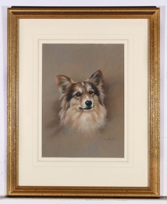John Naylor (b.1960) - 1990 Pastel, Curious Corgi