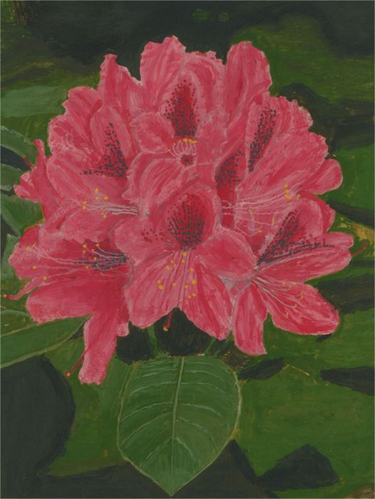 20th Century Oil - Pink Flowers & Green Leaves