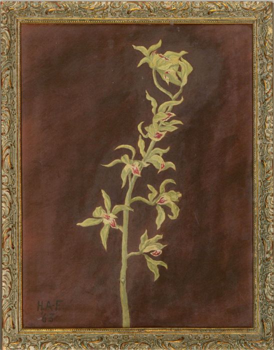 H.A.F - Signed and dated 1963 Oil, Floral Study