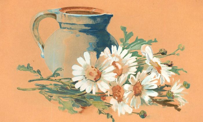 Mid 20th Century Gouache - Cut Daisies