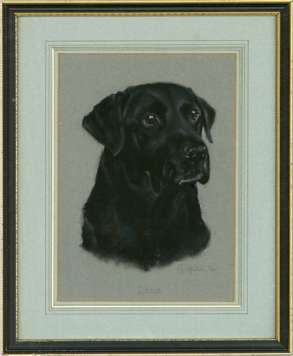 Charlotte Patterson - Signed Mid 20th Century Pastel, Dazzle the Black Lab