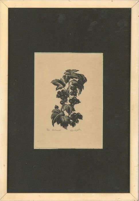 Clare Leighton (1898-1989) - Early 20th Century Woodcut, Blackcurrants