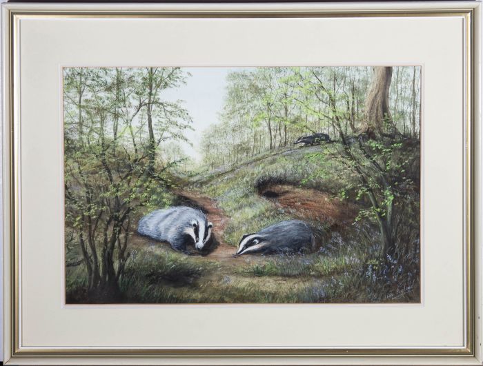 Alan England - 20th Century Watercolour, Badgers and Bluebells