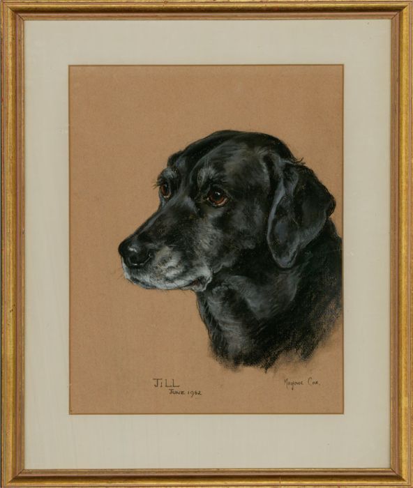 Marjorie Cox (1915-2003) - 20th Century Pastel, Jill The Black Labrador