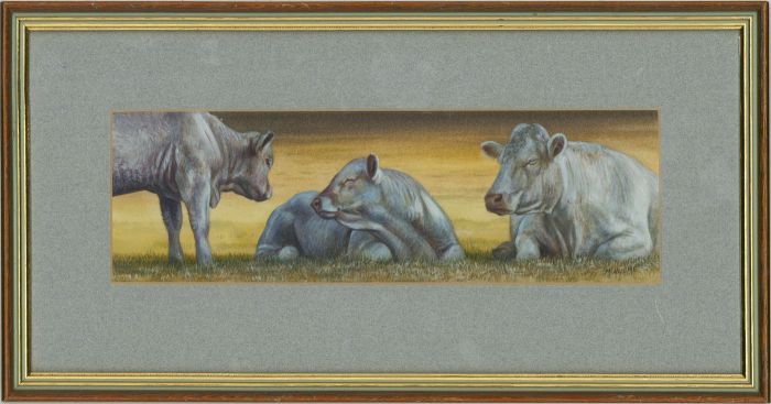 Mark Hulme - Contemporary Watercolour, Charolais in the Shade