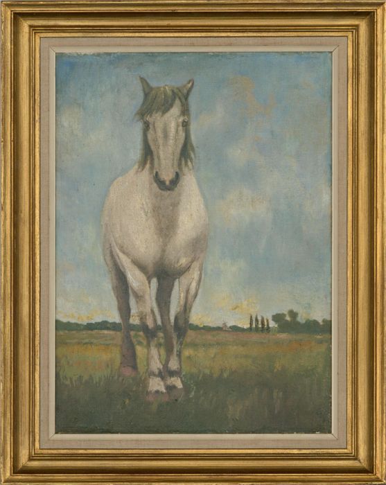 20th Century Oil - Wild Horse