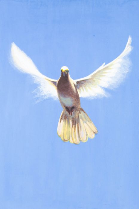 20th Century Oil - Graceful Dove