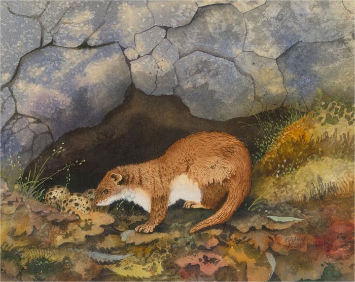 Brian Needham - Signed Mid 20th Century Watercolour, Wandering in the Wildlife