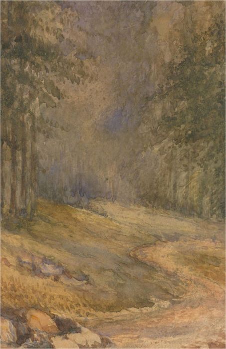 Early 20th Century Watercolour - The Woodland Path