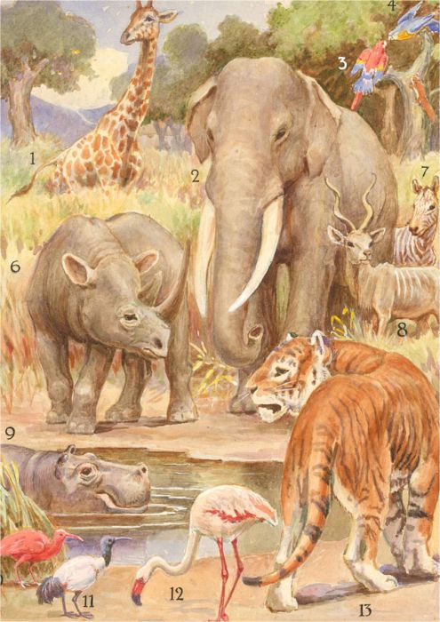Mid 20th Century Watercolour - The African Savannah