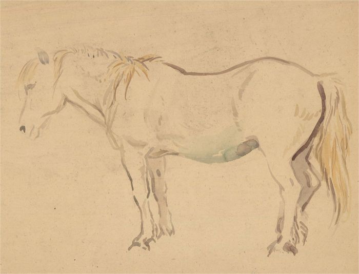 John Murray Thompson (1885-1974) - 20th Century Watercolour, Study of a Horse