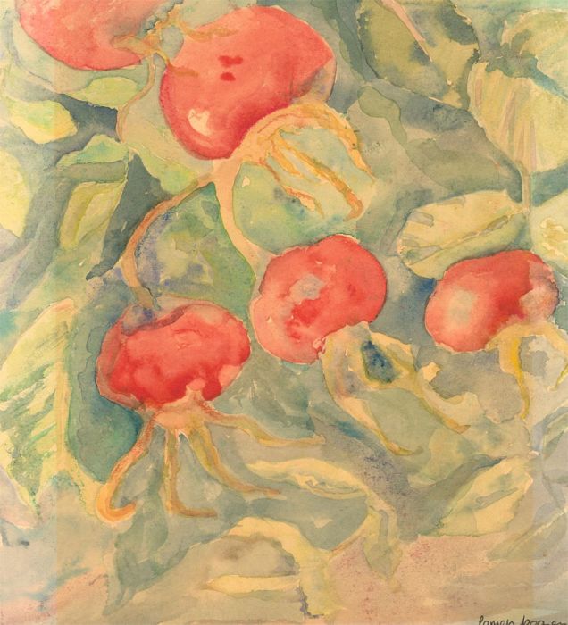 Mid 20th Century Watercolour - Rose Hips