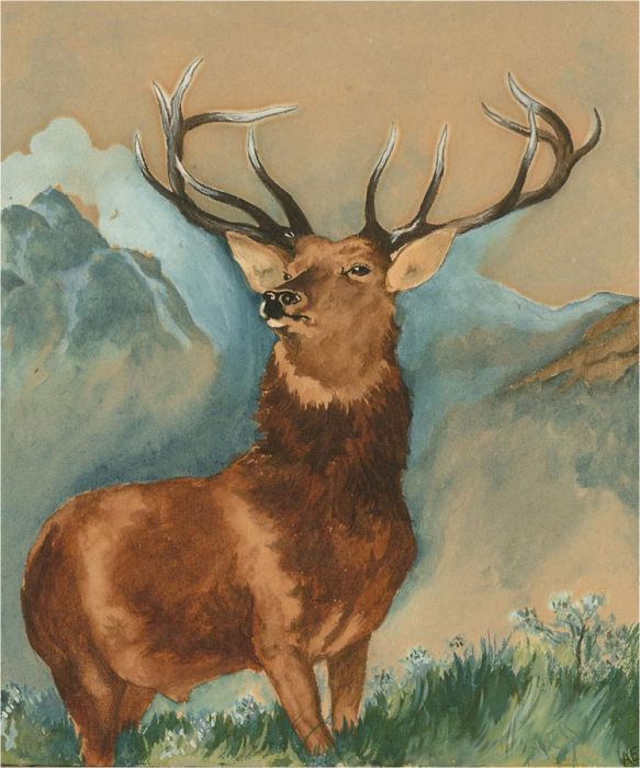 Early 20th Century Watercolour - The Monarch of the Glen
