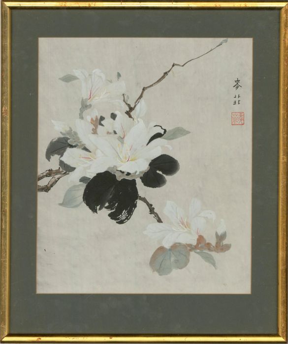 20th Century Watercolour - Bauhinia