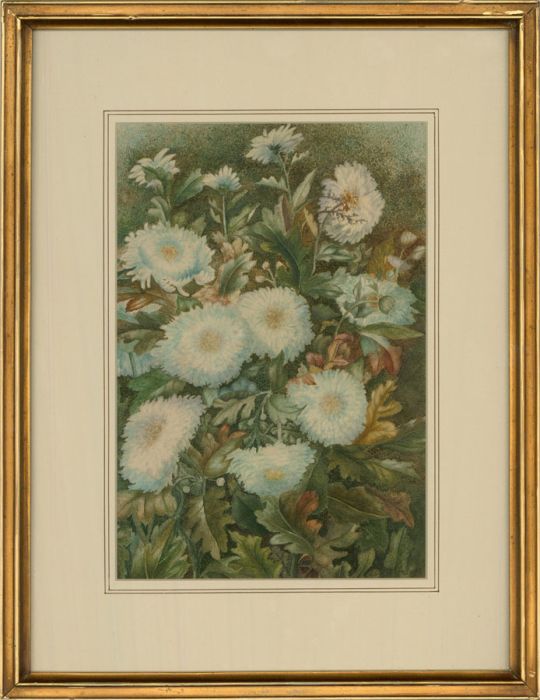 Lilly McAndrews - Signed Mid 20th Century Watercolour, Still Life of Flowers