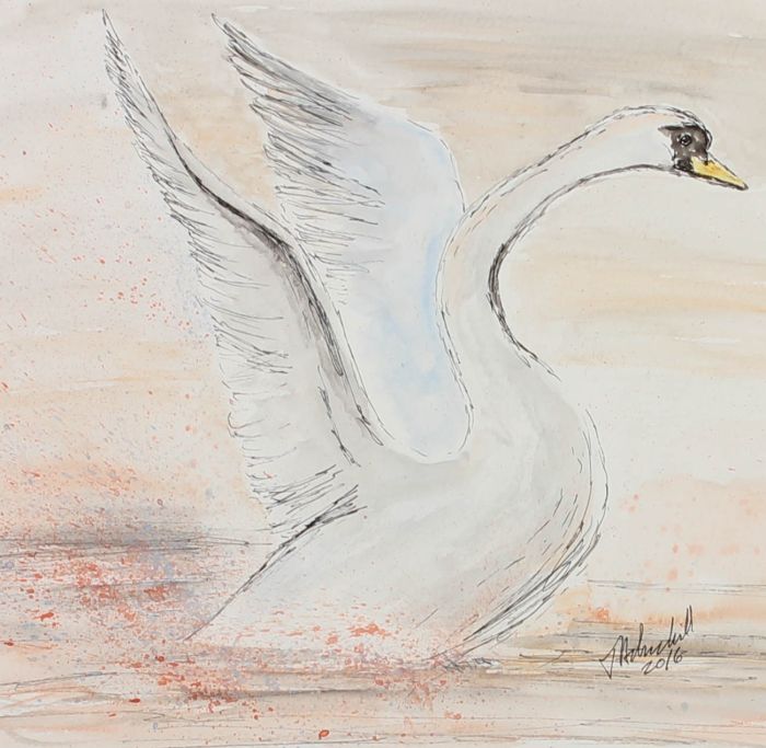 T.A. Churchill - Signed Mid 20th Century Watercolour, The Swan