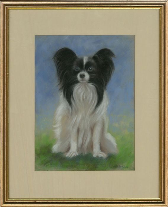 Allan Phillips - 2004 Pastel, Papillon Pup