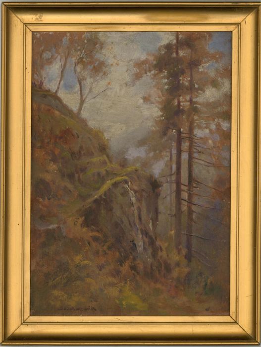 David Hewitt (1878–1939) - Early 20th Century Oil, Woodland Cliff