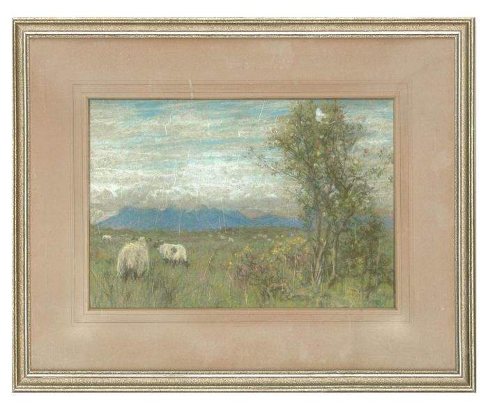 Framed Early 20th Century Pastel - Wild Sheep