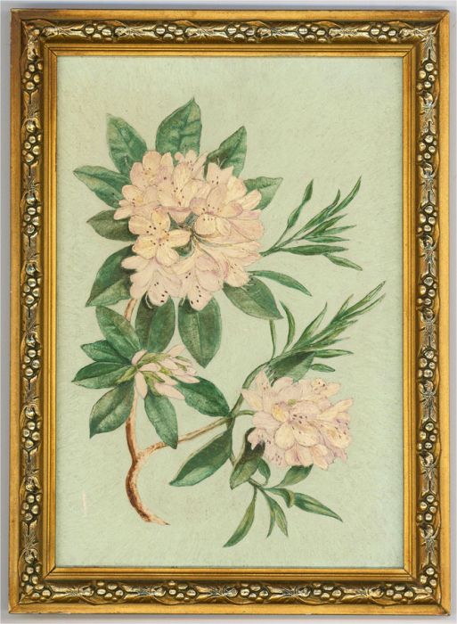 Pair of 20th Century Oils - Rhododendron