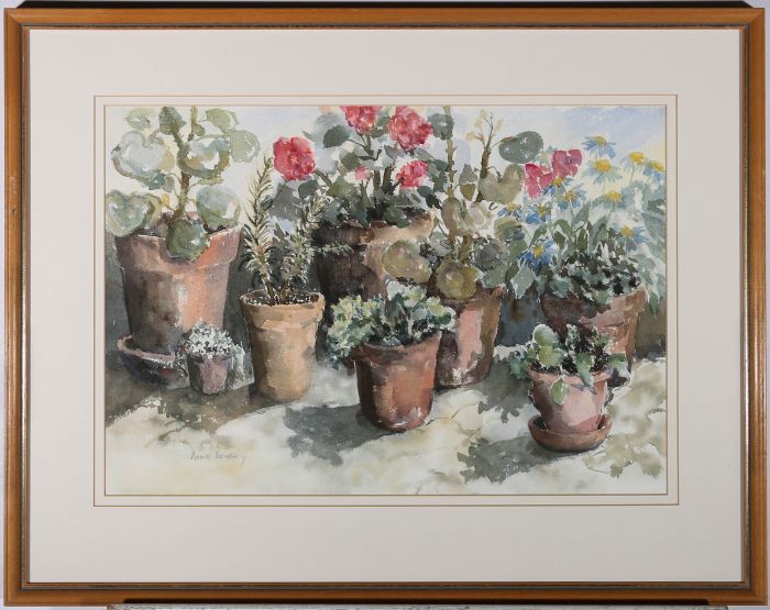 Anne Bewsey - Framed Contemporary Watercolour, Potted Plants