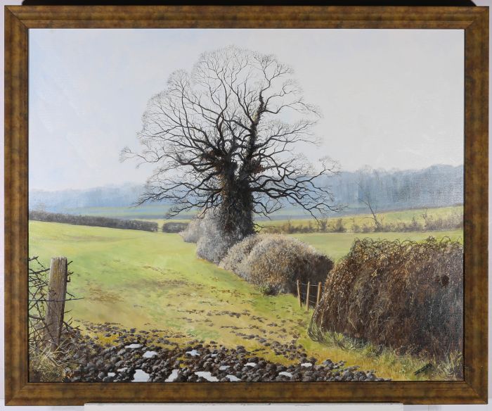 Joe Wilkes - 20th Century Oil, February Morning