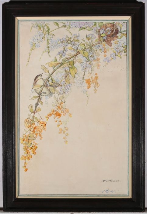 Kathlene Irene Nixon (1894-1988) - Watercolour, Thrush in the Blossom Tree