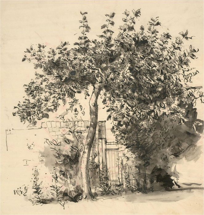 Peter Collins ARCA - Mid 20th Century Pen and Ink Drawing, Bottom of the Garden