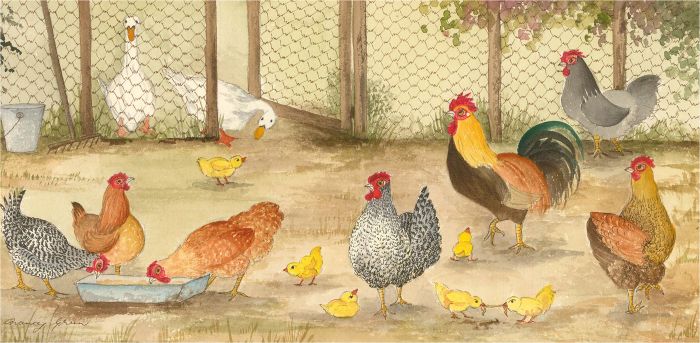 Nancy Green - Pair of 20th Century Watercolours, Farmyard Chickens