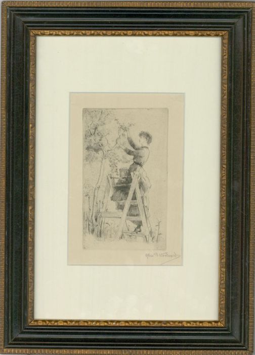 Alice B. Woodward (1862-1951) - 1885 Etching, Gathering Plums