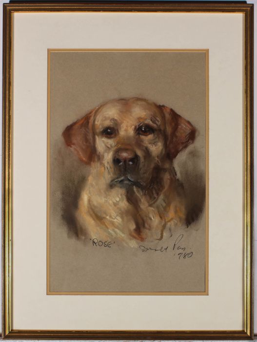 Donald Pass  - 1980 Pastel, Rose the Labrador