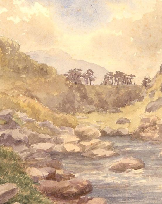 Anne, Elizabeth and Annie Salter -Trio of Late 19thC Watercolour, Woodland Views