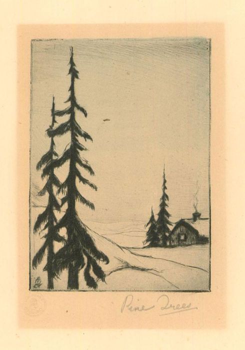 Mid 20th Century Etching - Pine Trees