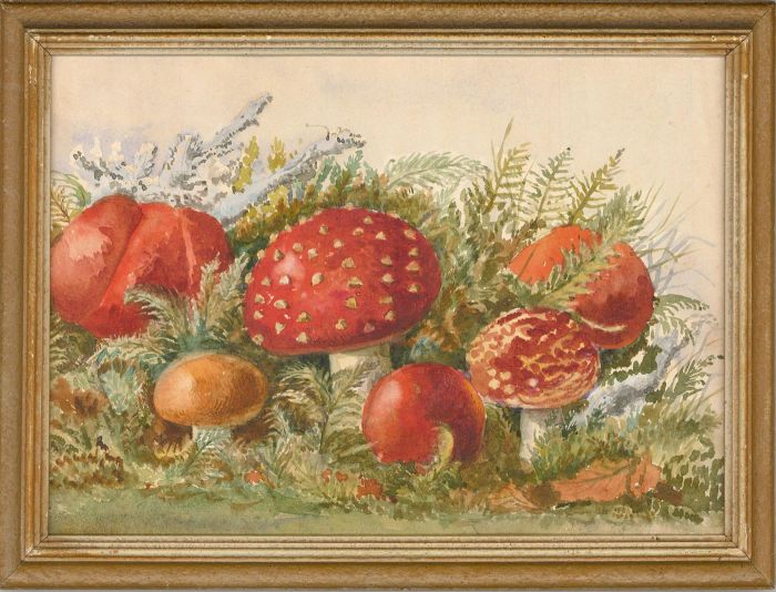 Caroline Ryland Garrett - Early 20th Century Watercolour, Toadstools
