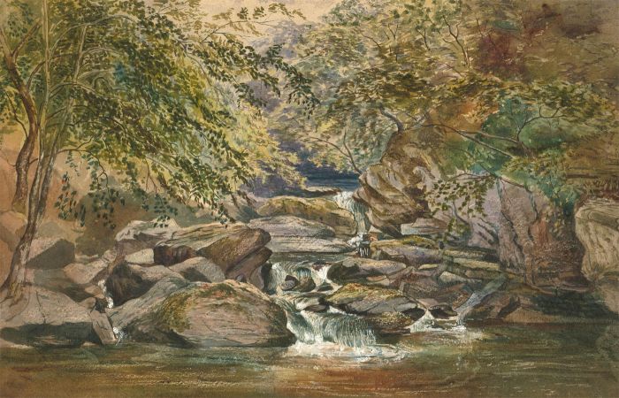 Late 19th Century Watercolour - Woodland Cascade