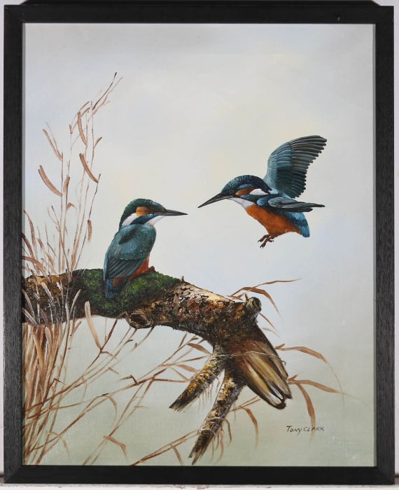 Tony Clark  - 20th Century Oil, Kingfishers