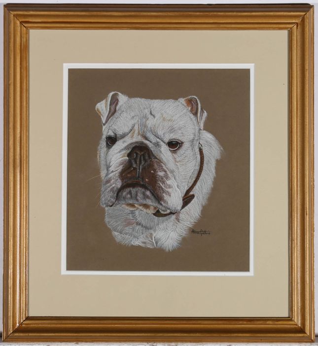Alison Guthrie - Framed 20th Century Pastel, White English Bulldog