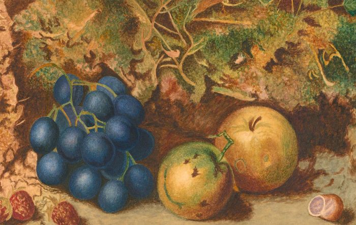 Late 19th Century Watercolour - Still Life of Fruit